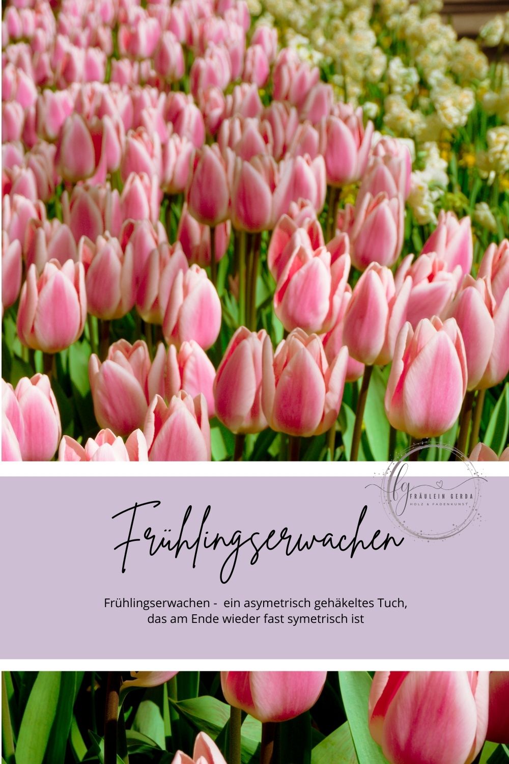 Tuch Frühlingserwachen Deckblatt: ein Meer aus rosa Tulpen, Fräulein-Gerda-Logo