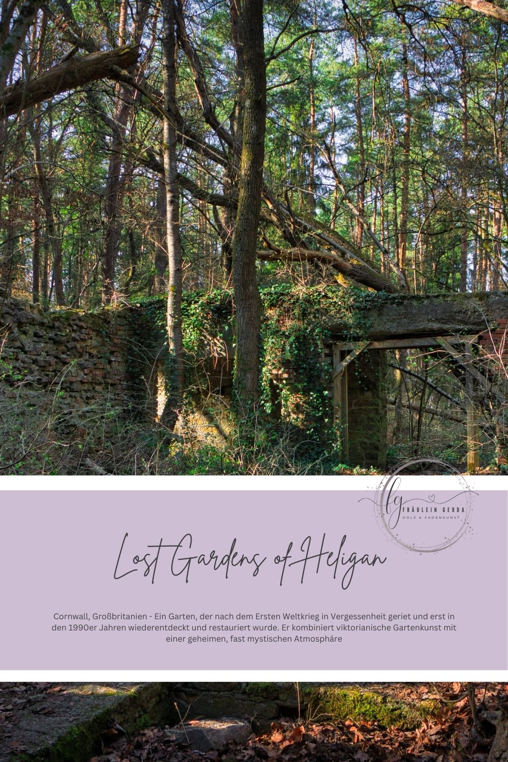 Socken Lost Gardens of Heligan Deckblatt: verwunschener Wald mit Mauer und Tor, Fräulein-Gerda-Logo und Namensbedeutung des vegessenen Gartens